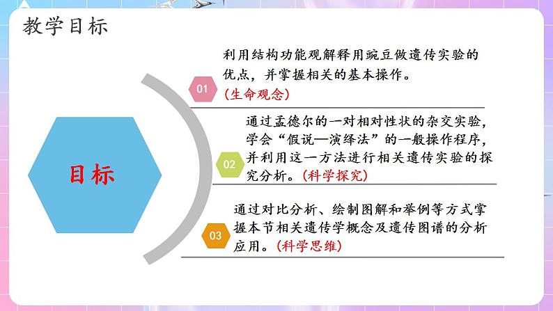 1.1《孟德尔的豌豆杂交实验(一)》(第1课时) 课件 人教版高中生物必修二第3页