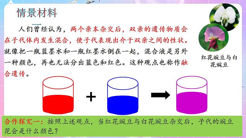 1.1《孟德尔的豌豆杂交实验(一)》(第1课时) 课件 人教版高中生物必修二第4页
