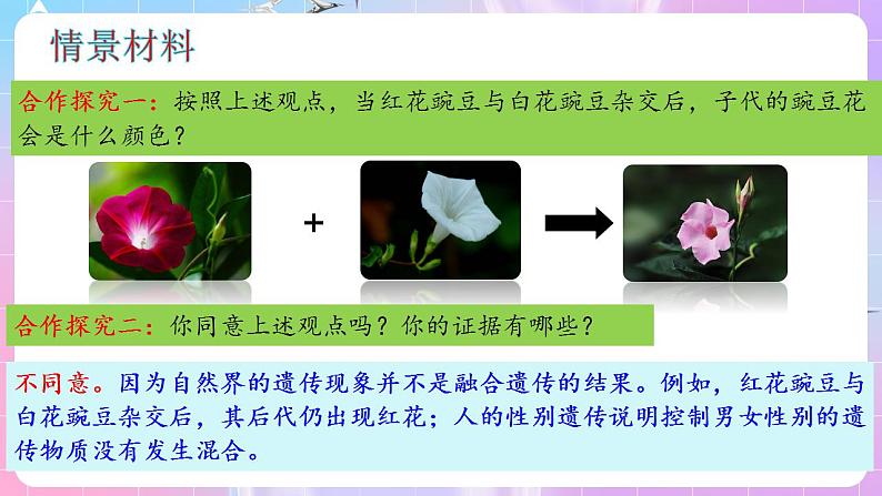 1.1《孟德尔的豌豆杂交实验(一)》(第1课时) 课件 人教版高中生物必修二第5页