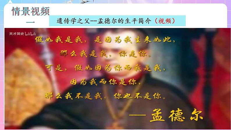 1.1《孟德尔的豌豆杂交实验(一)》(第1课时) 课件 人教版高中生物必修二第6页