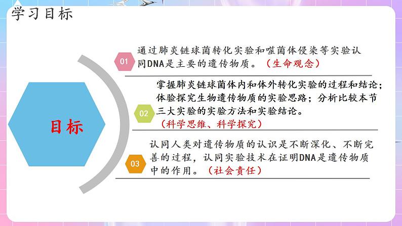 3.1《DNA是主要的遗传物质》(第2课时) 课件 人教版高中生物必修二02