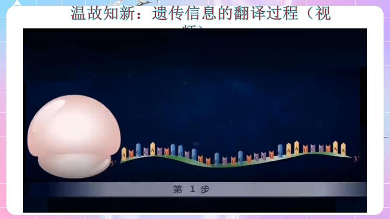 4.1《基因指导蛋白质的合成》(第3课时) 课件 人教版高中生物必修二03