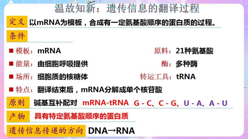 4.1《基因指导蛋白质的合成》（第3课时） 课件 人教版高中生物必修二04