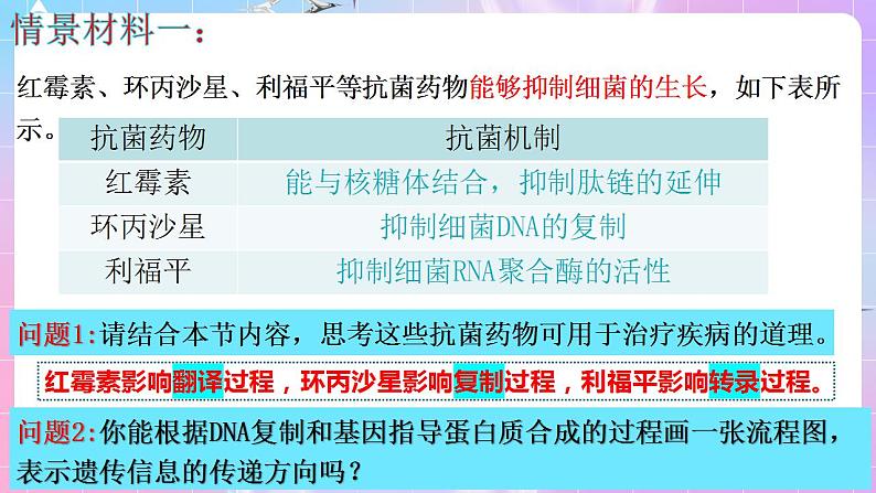 4.1《基因指导蛋白质的合成》(第3课时) 课件 人教版高中生物必修二06