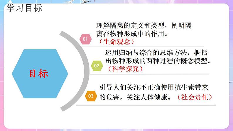 6.3《种群基因组成的变化与物种的形成》(第2课时) 课件 人教版高中生物必修二第2页