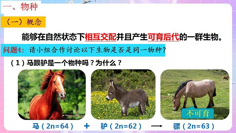 6.3《种群基因组成的变化与物种的形成》(第2课时) 课件 人教版高中生物必修二第8页