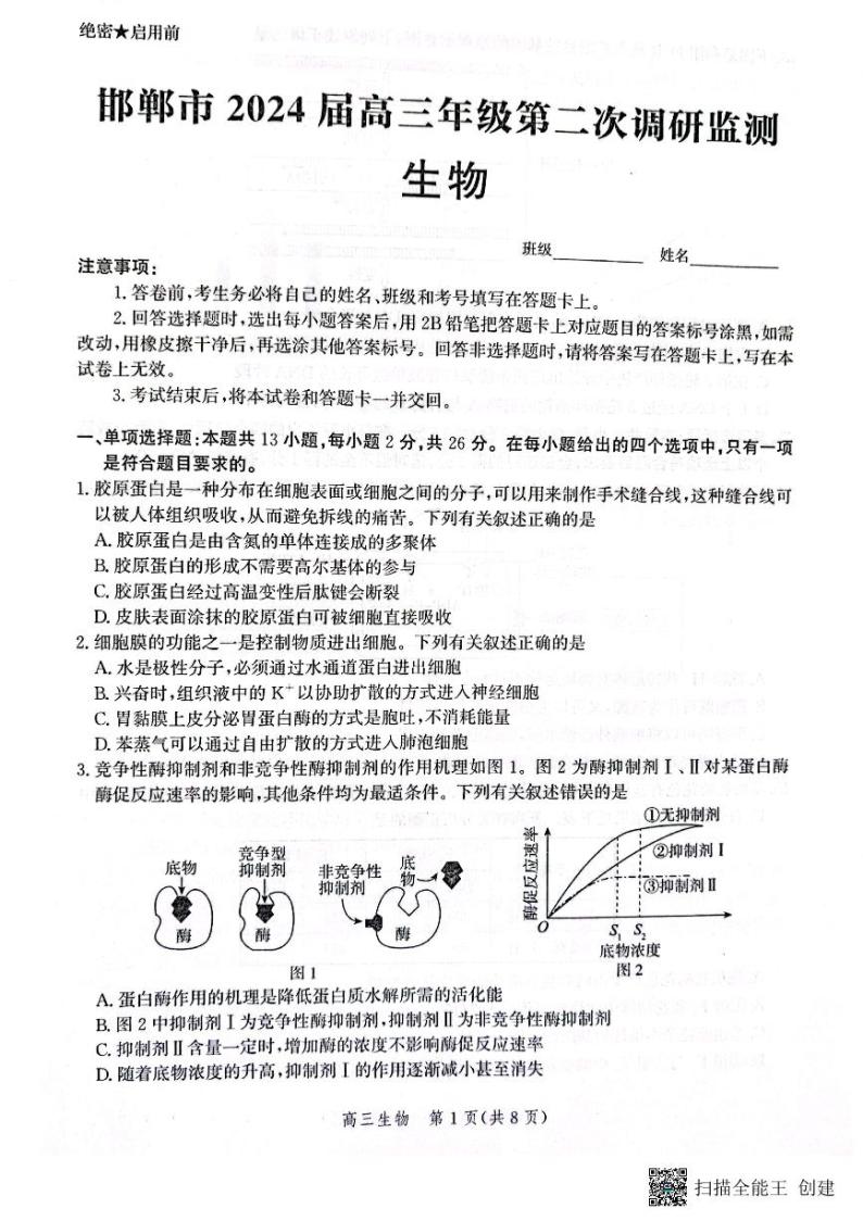 河北省邯郸市2024届高三年级上学期第二次调研监测 生物01
