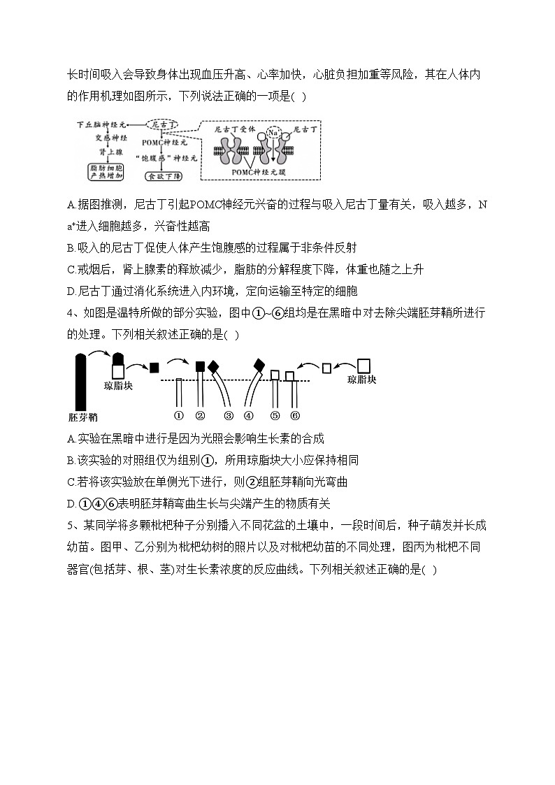 江苏省扬州市2023-2024学年高二上学期12月月考生物试卷(含答案)第2页