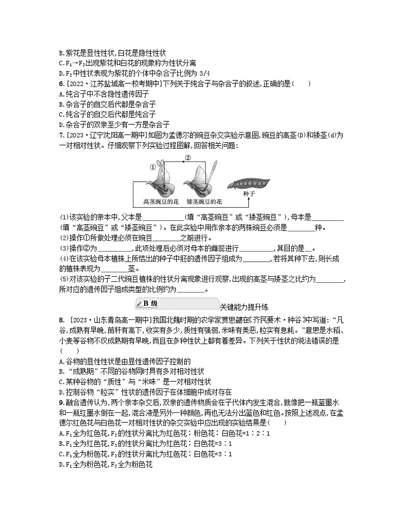 江苏专版2023_2024学年新教材高中生物第一章遗传的细胞基础第二节分离定律第一课时豌豆一对相对性状的杂交实验及其解释分层作业苏教版必修202