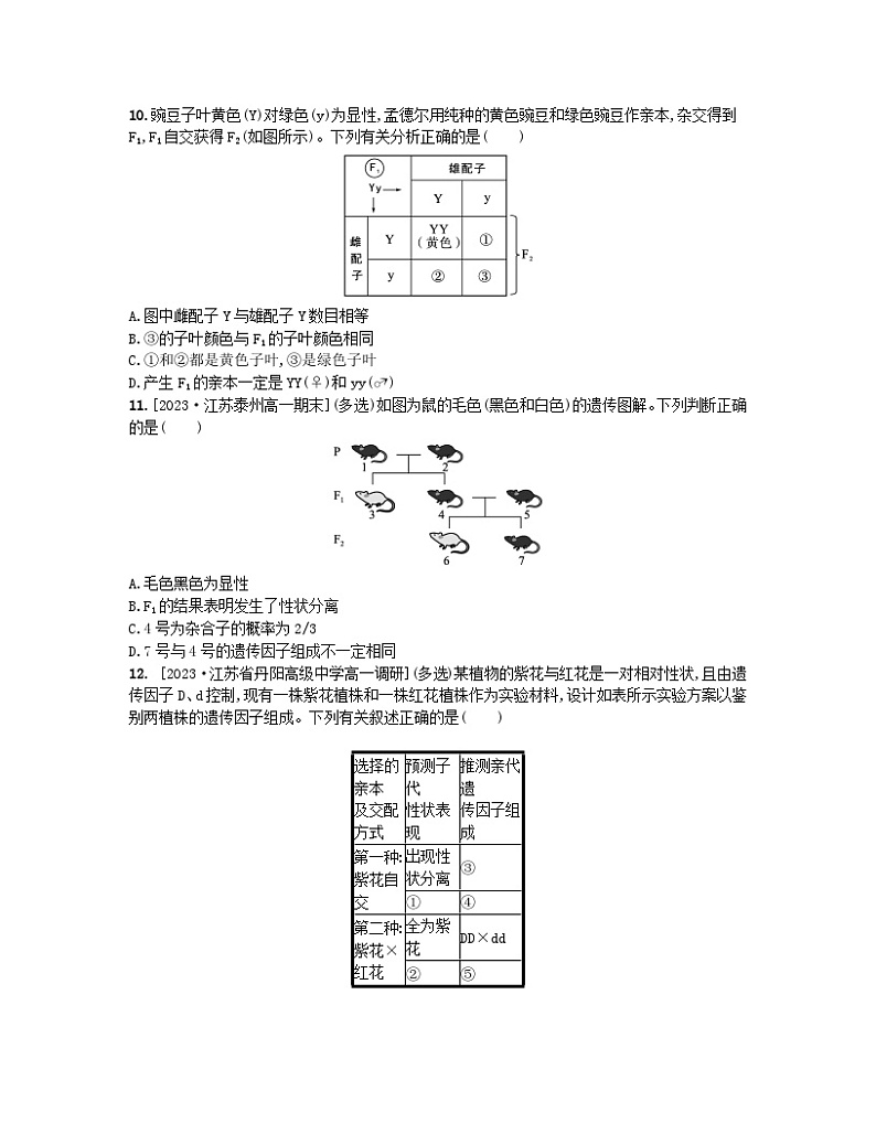 江苏专版2023_2024学年新教材高中生物第一章遗传的细胞基础第二节分离定律第一课时豌豆一对相对性状的杂交实验及其解释分层作业苏教版必修203