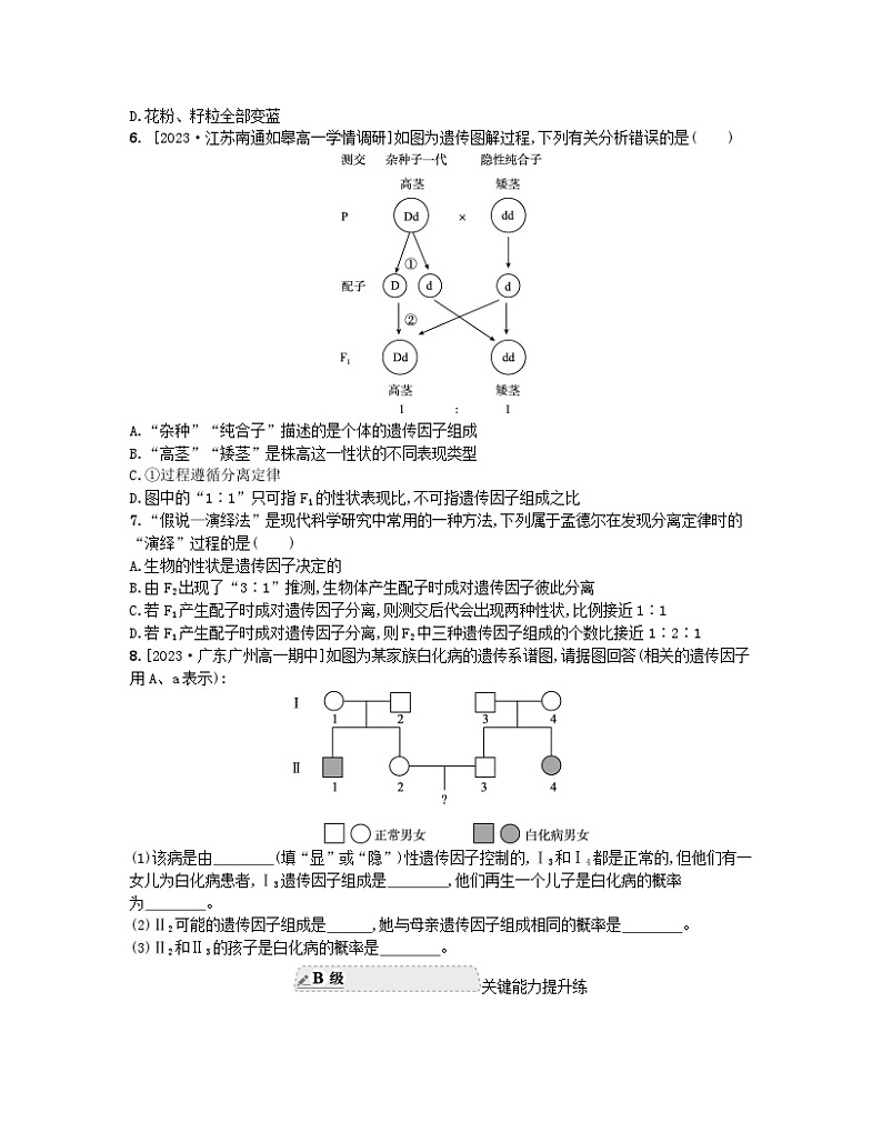 15176929第2页