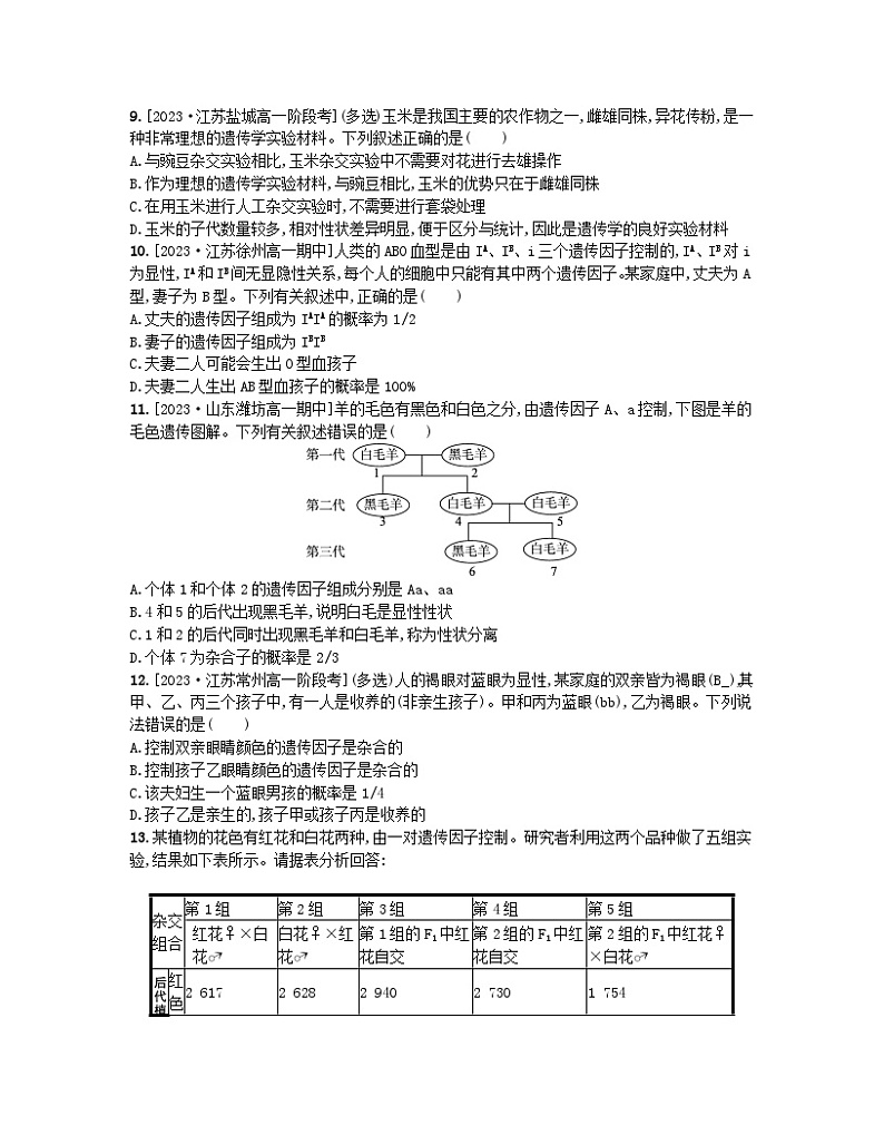 15176929第3页