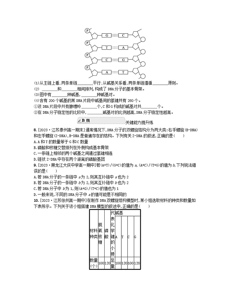 江苏专版2023_2024学年新教材高中生物第二章遗传的分子基础第二节DNA分子的结构和复制第一课时DNA分子的结构分层作业苏教版必修203