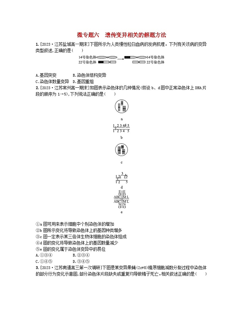 江苏专版2023_2024学年新教材高中生物第三章生物的变异微专题六遗传变异相关的解题方法分层作业苏教版必修2第1页