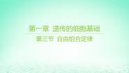 高中生物苏教版 (2019)必修2《遗传与进化》自由组合定律课文ppt课件