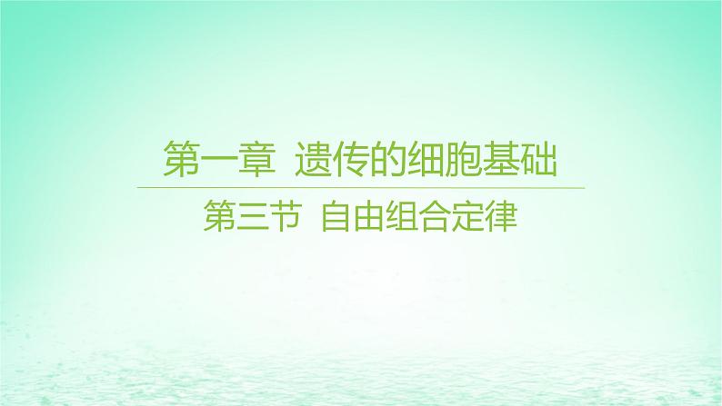 江苏专版2023_2024学年新教材高中生物第一章遗传的细胞基础第三节自由组合定律课件苏教版必修2第1页