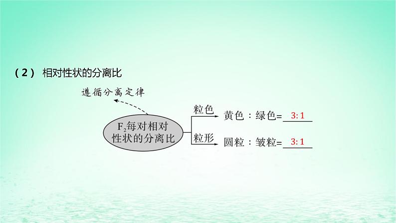 江苏专版2023_2024学年新教材高中生物第一章遗传的细胞基础第三节自由组合定律课件苏教版必修2第7页