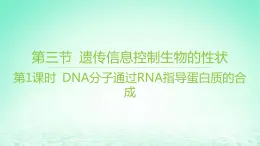 江苏专版2023_2024学年新教材高中生物第二章遗传的分子基础第三节遗传信息控制生物的性状第一课时DNA分子通过RNA指导蛋白质的合成课件苏教版必修2