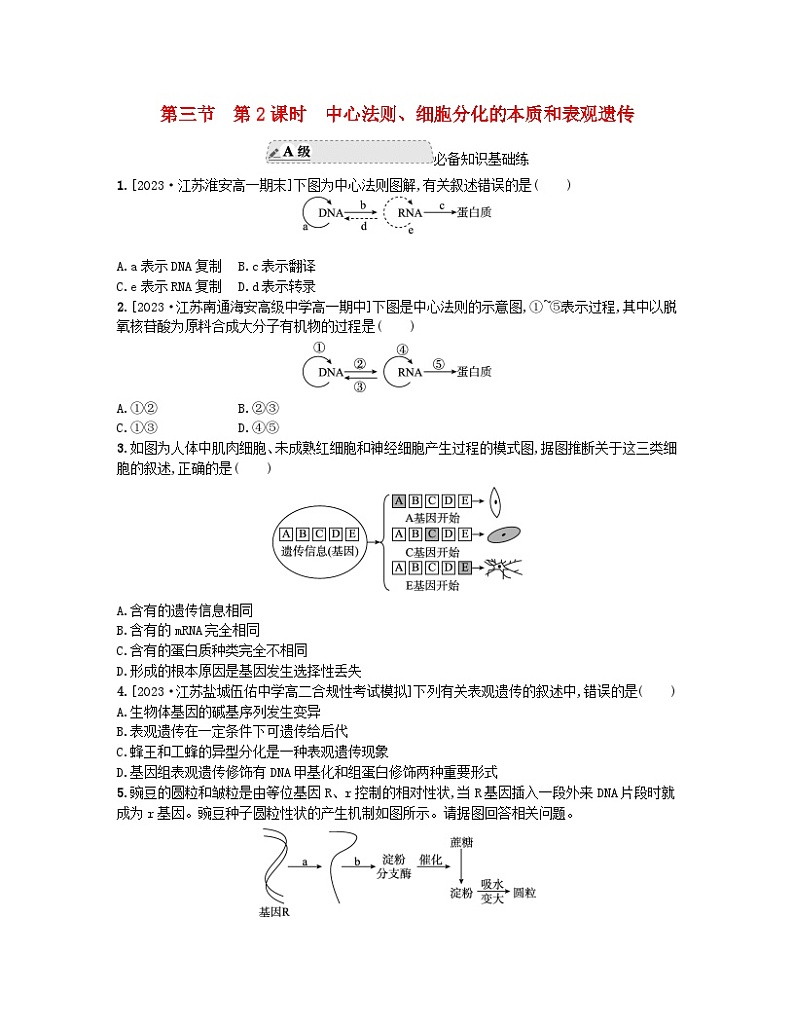 江苏专版2023_2024学年新教材高中生物第二章遗传的分子基础第三节遗传信息控制生物的性状第二课时中心法则细胞分化的本质和表观遗传分层作业苏教版必修2第1页