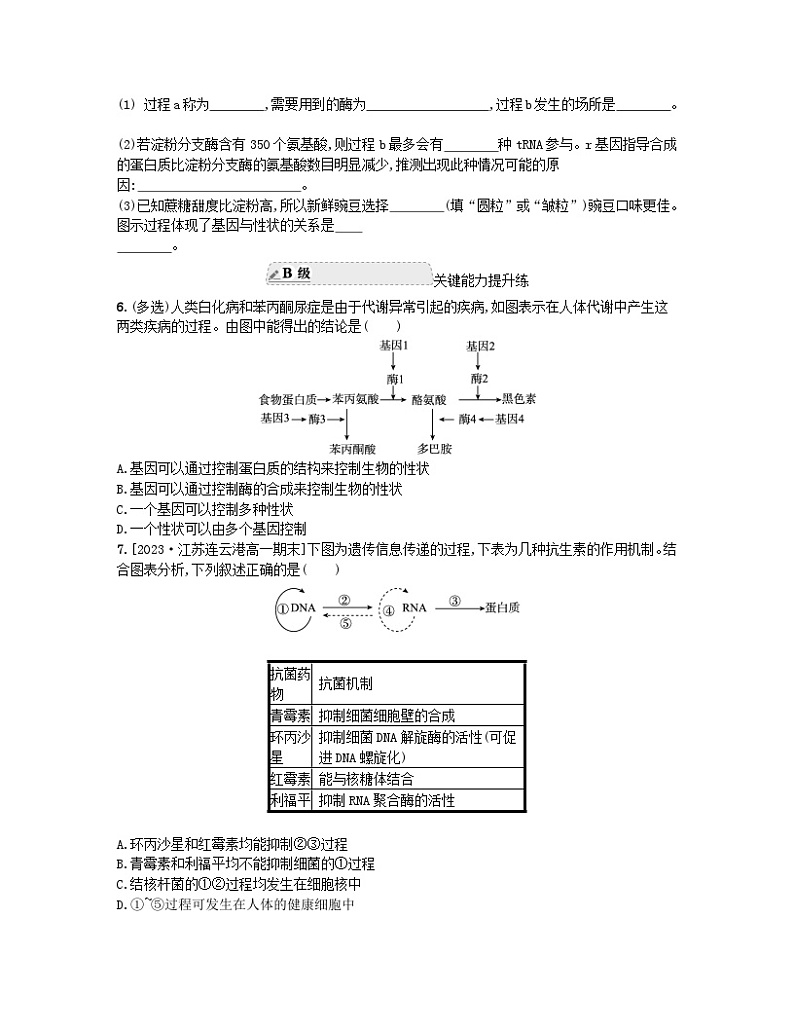 江苏专版2023_2024学年新教材高中生物第二章遗传的分子基础第三节遗传信息控制生物的性状第二课时中心法则细胞分化的本质和表观遗传分层作业苏教版必修2第2页