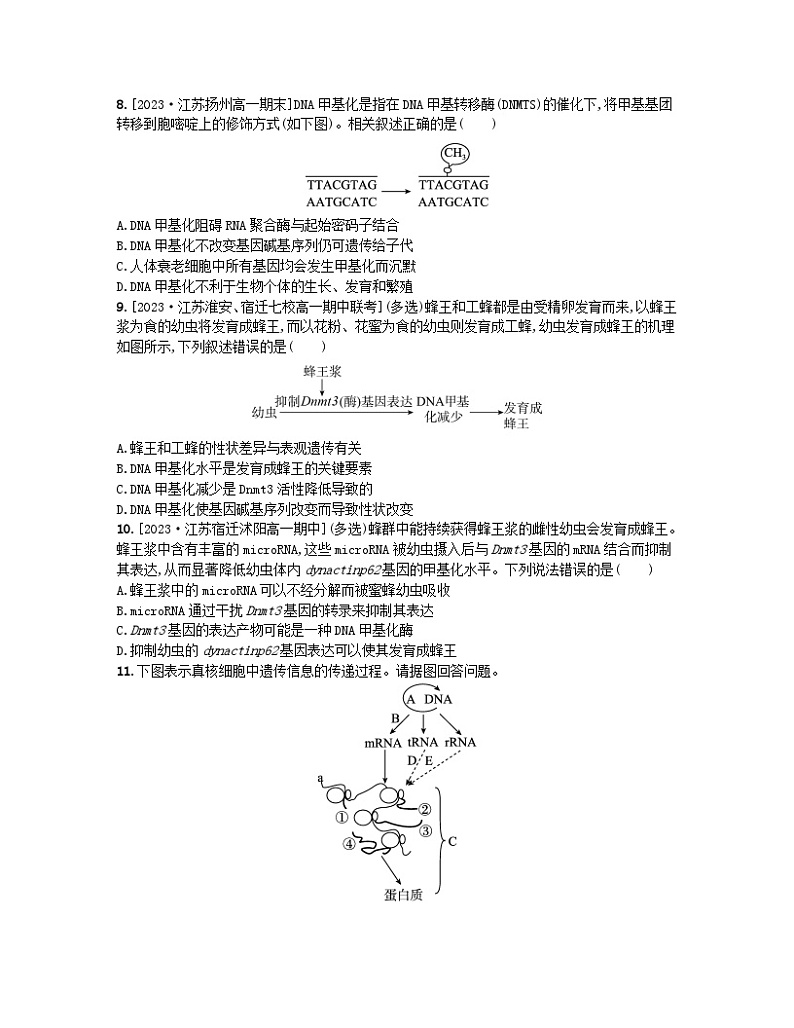 江苏专版2023_2024学年新教材高中生物第二章遗传的分子基础第三节遗传信息控制生物的性状第二课时中心法则细胞分化的本质和表观遗传分层作业苏教版必修2第3页