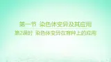 江苏专版2023_2024学年新教材高中生物第三章生物的变异第一节染色体变异及其应用第二课时染色体变异在育种上的应用课件苏教版必修2