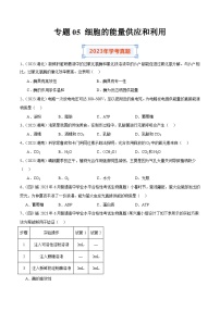 专题05 细胞的能量供应和利用-备战2024年高中学业水平考试生物真题分类汇编