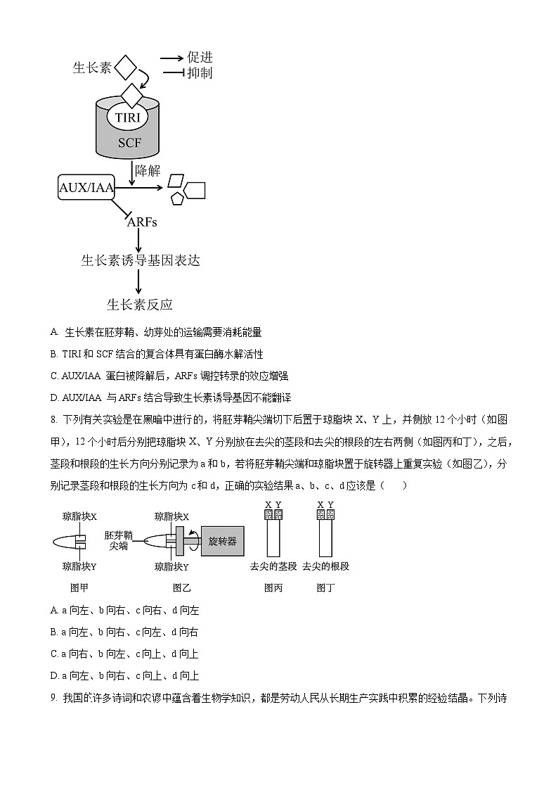 江西省宜春市丰城中学2023-2024学年高二上学期12月月考生物试题(Word版附解析)03