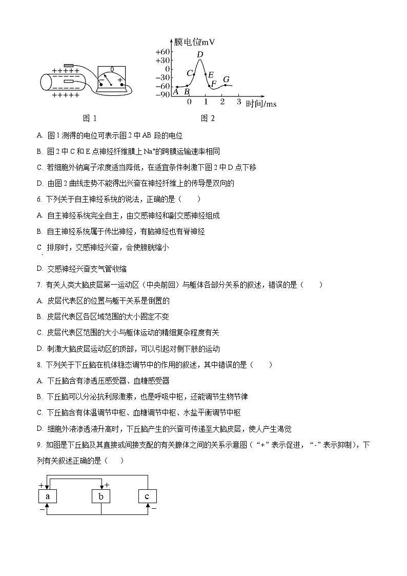 辽宁省辽东南协作校2024届高三上学期12月月考生物第2页
