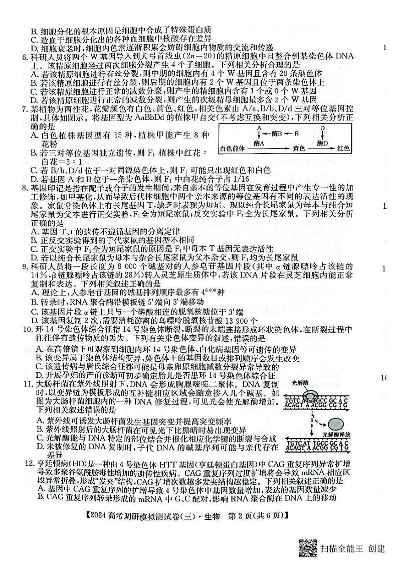 陕西省咸阳市永寿县中学2024届高三上学期高考调研拟测试卷(二)生物02