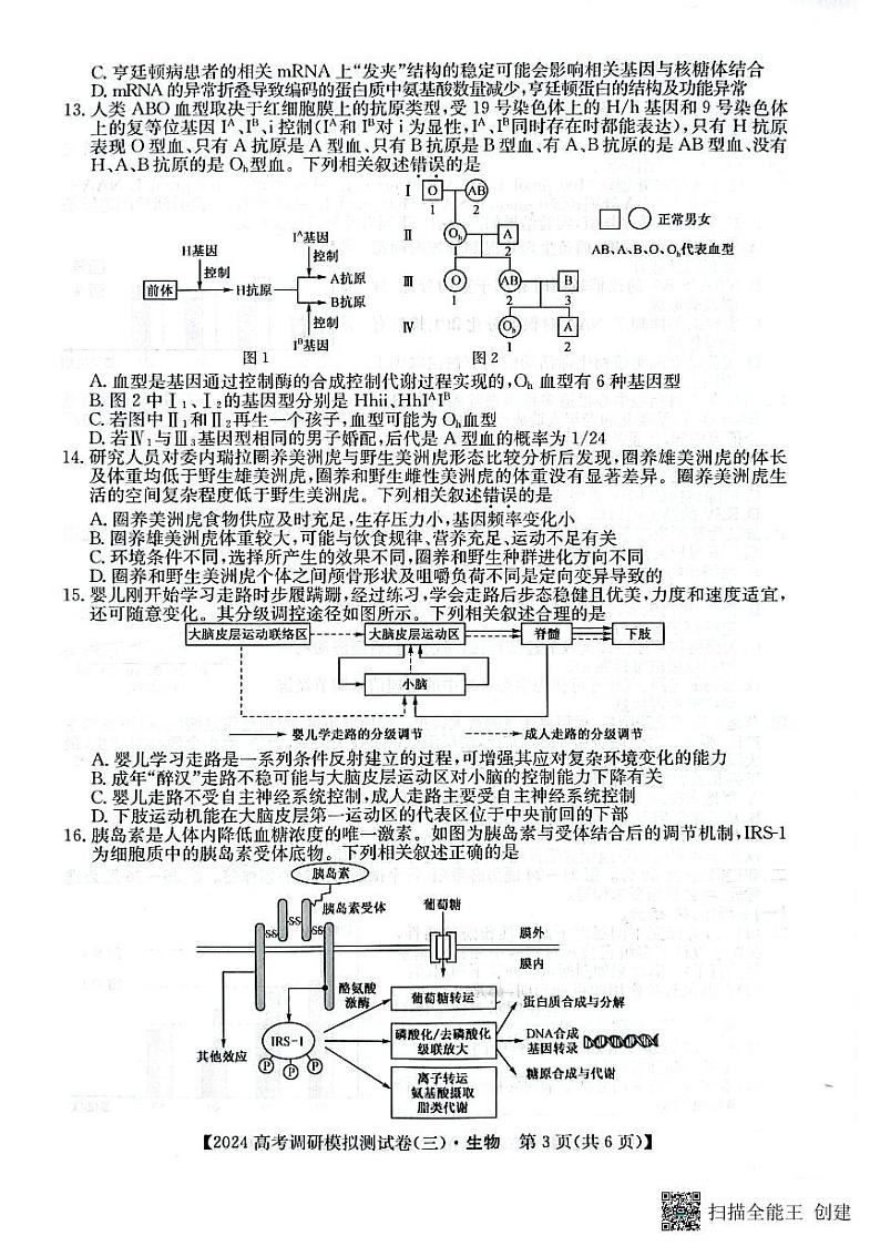 陕西省咸阳市永寿县中学2024届高三上学期高考调研拟测试卷(二)生物03