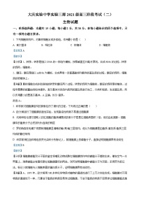 黑龙江省大庆实验中学实验三部2023-2024学年高三上学期阶段考试（二）生物（Word版附解析）