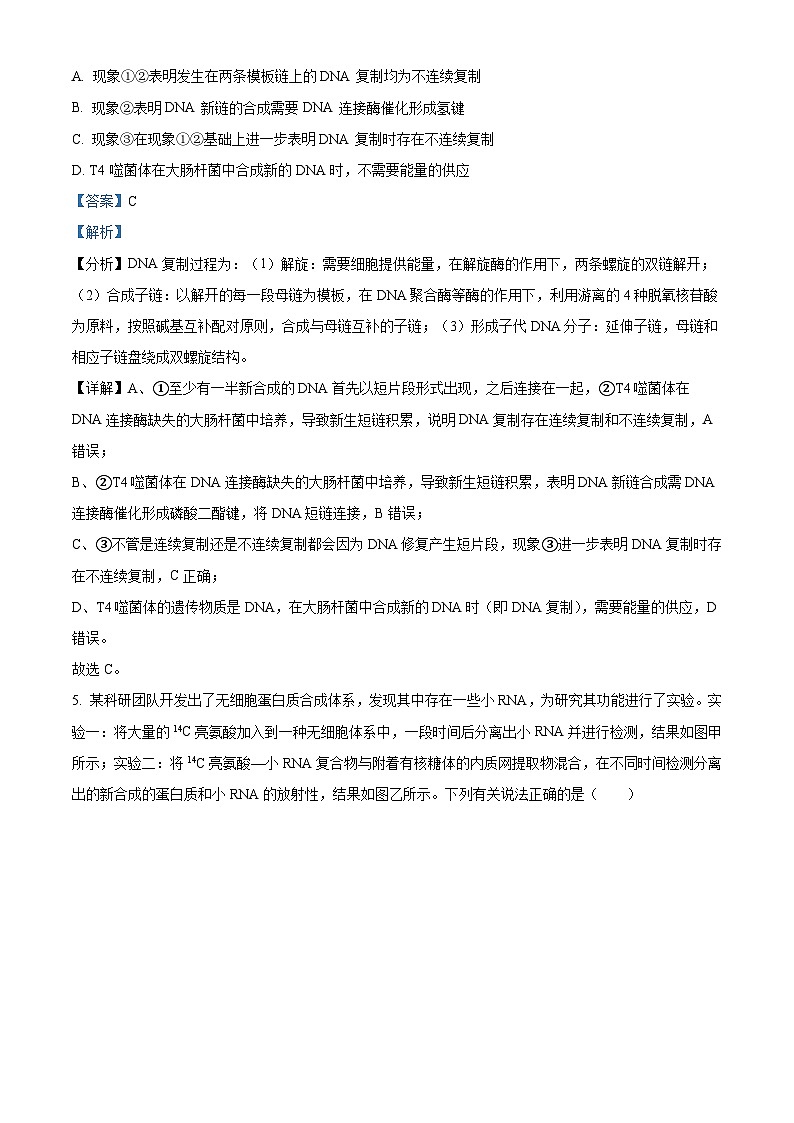 黑龙江省大庆实验中学实验三部2023-2024学年高三上学期阶段考试(二)生物答案第3页