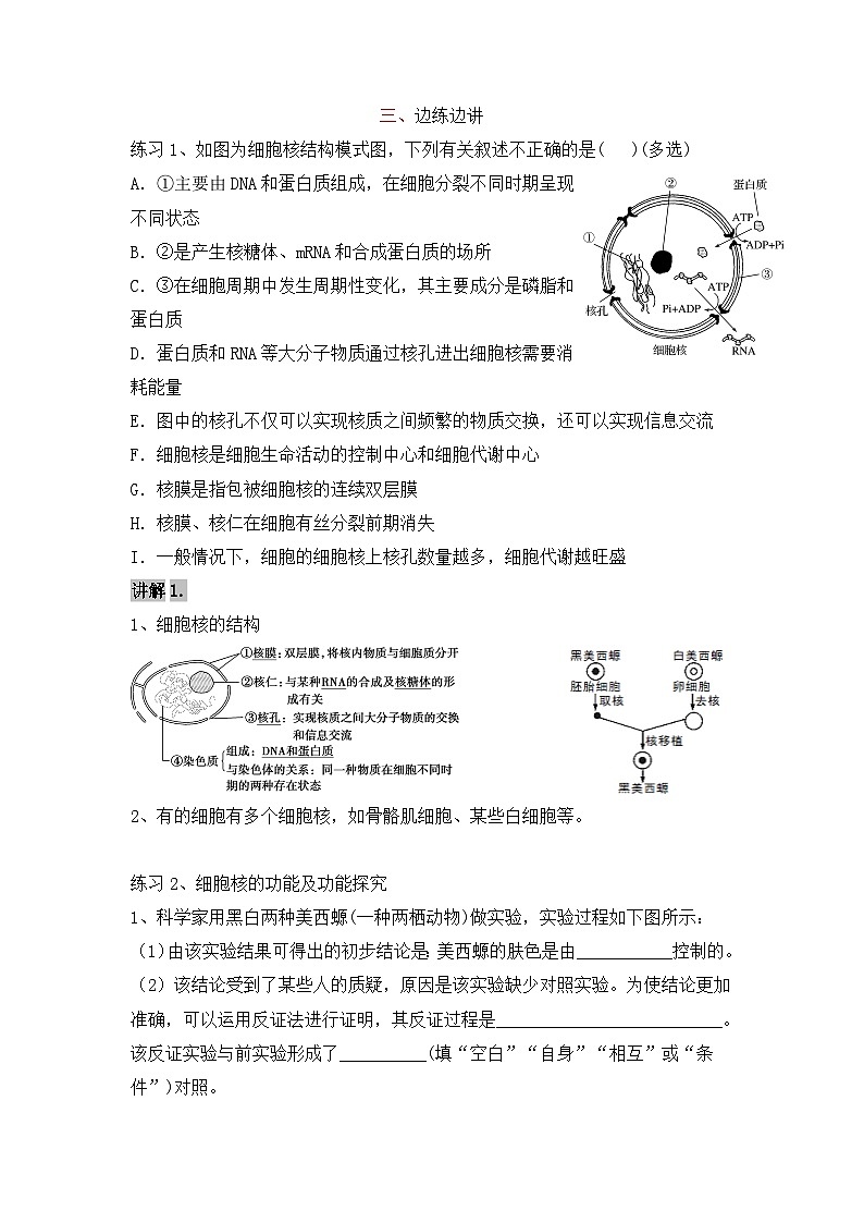 高三生物一轮复习导学案细胞核第3页