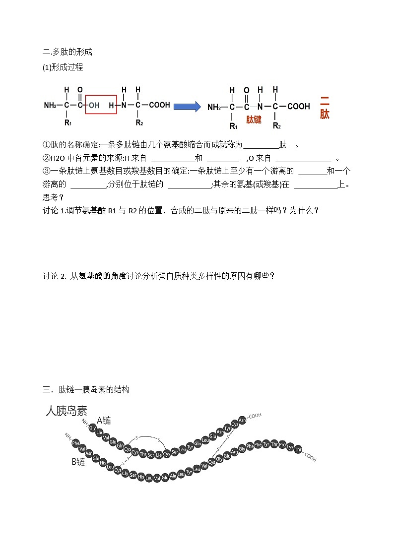 2.4蛋白质是生命活动的主要承担者导学案 高中生物人教版必修1第2页