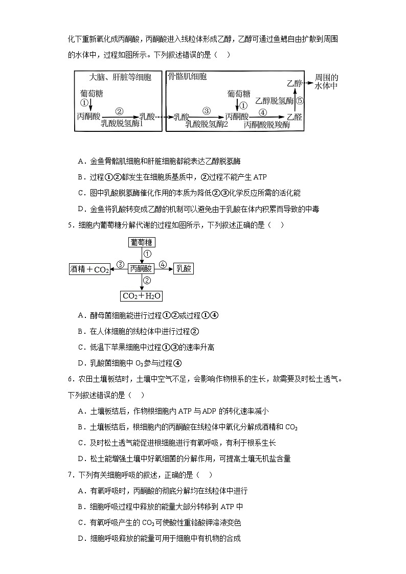 5.3细胞呼吸的原理和应用同步练习 高中生物人教版必修1第2页