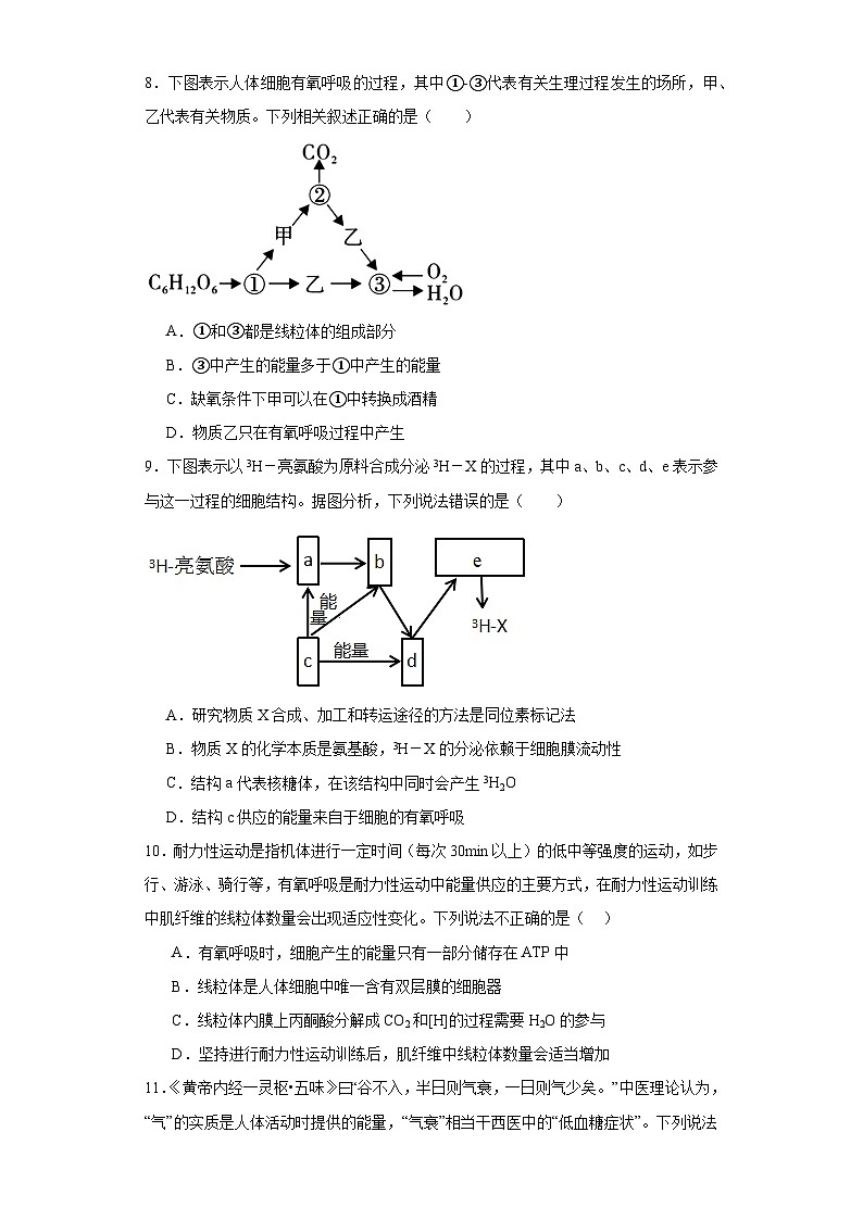 5.3细胞呼吸的原理和应用同步练习 高中生物人教版必修1第3页