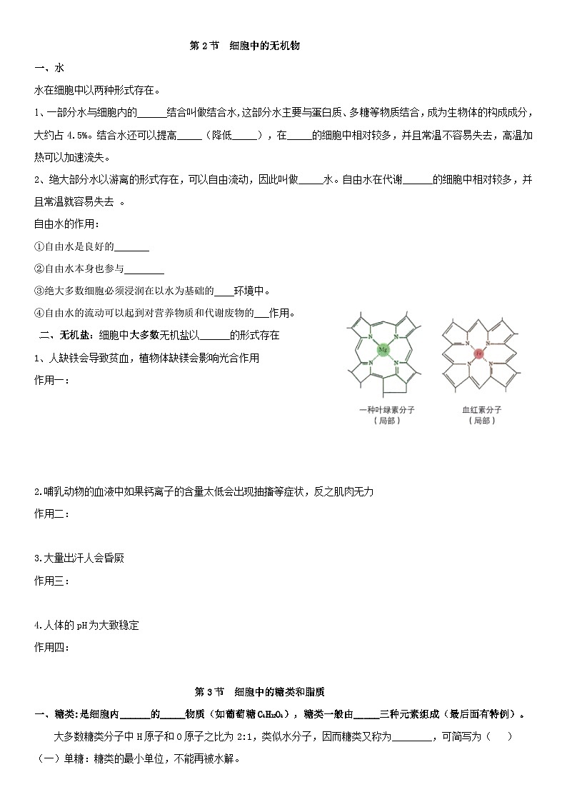 第2章组成细胞的分子导学案 高中生物人教版必修103