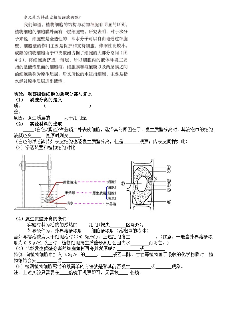 第4章细胞的物质输入和输出导学案 高中生物人教版必修102