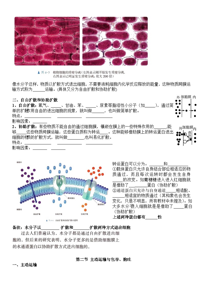 第4章细胞的物质输入和输出导学案 高中生物人教版必修103