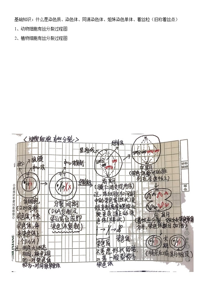 第6章细胞的生命历程导学案 高中生物人教版必修102