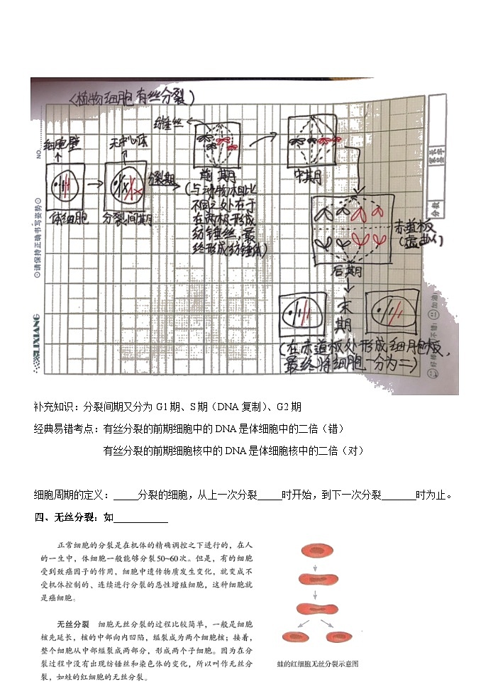 第6章细胞的生命历程导学案 高中生物人教版必修103