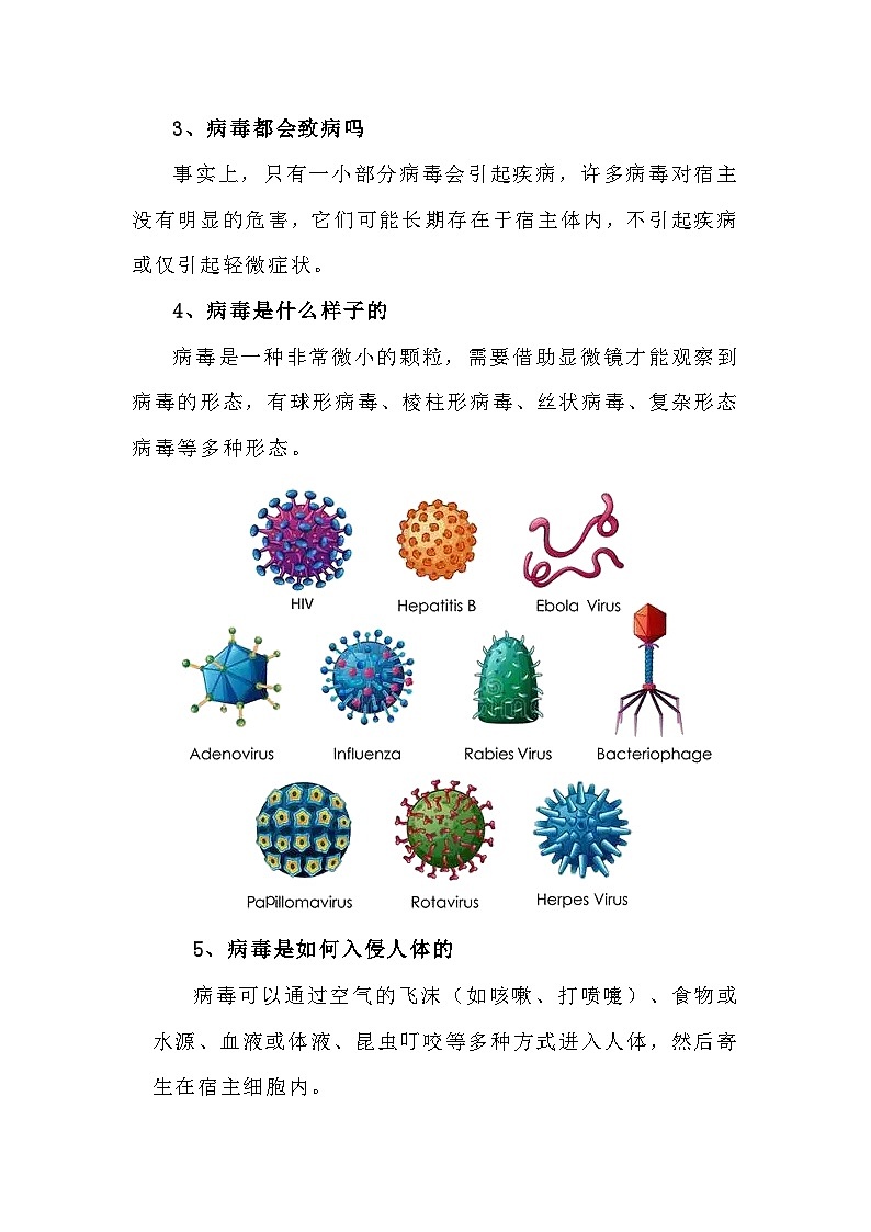 备课素材知识点:病毒- 高中生物人教版必修1第2页