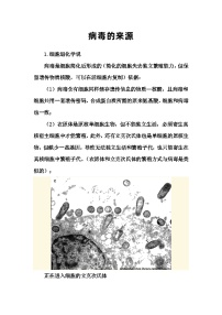 备课素材知识点：病毒的来源- 高中生物人教版必修1