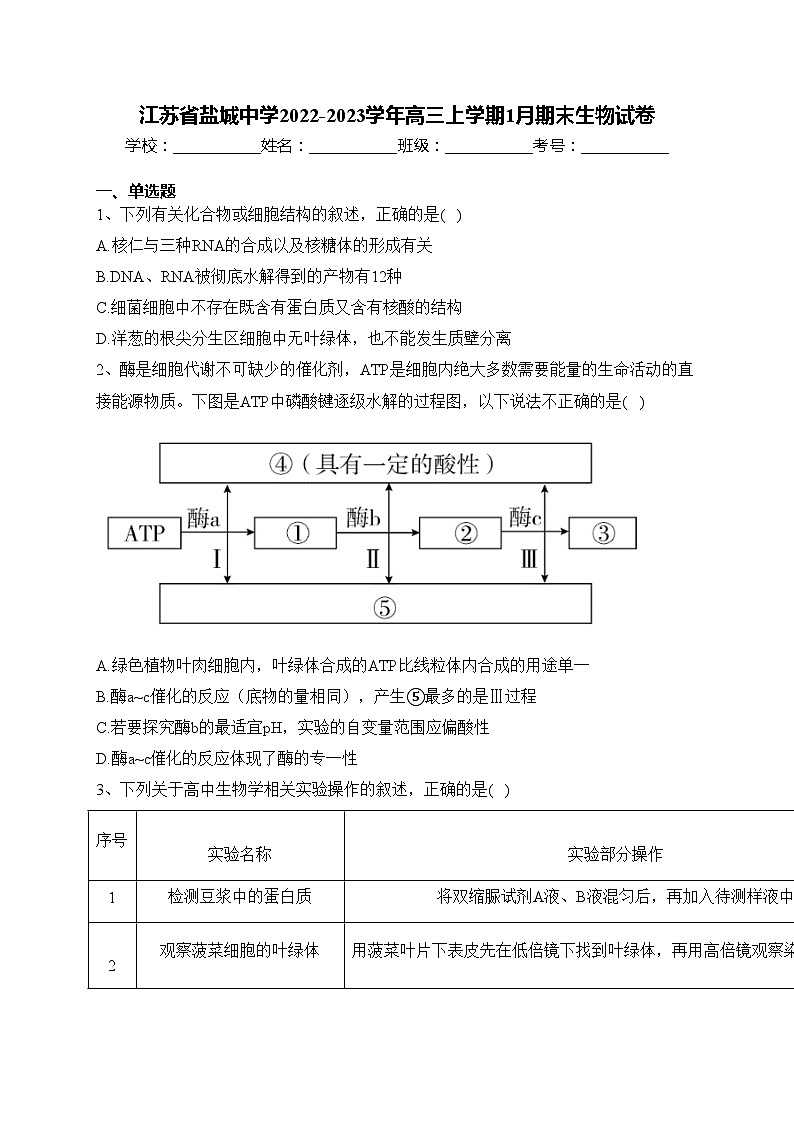 江苏省盐城中学2022-2023学年高三上学期1月期末生物试卷(含答案)01