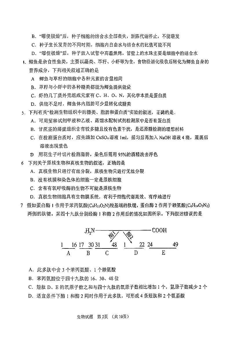 吉林省普通高中G6教考聯(lián)盟2023-2024學(xué)年高一上學(xué)期1月期末生物試題第2頁(yè)