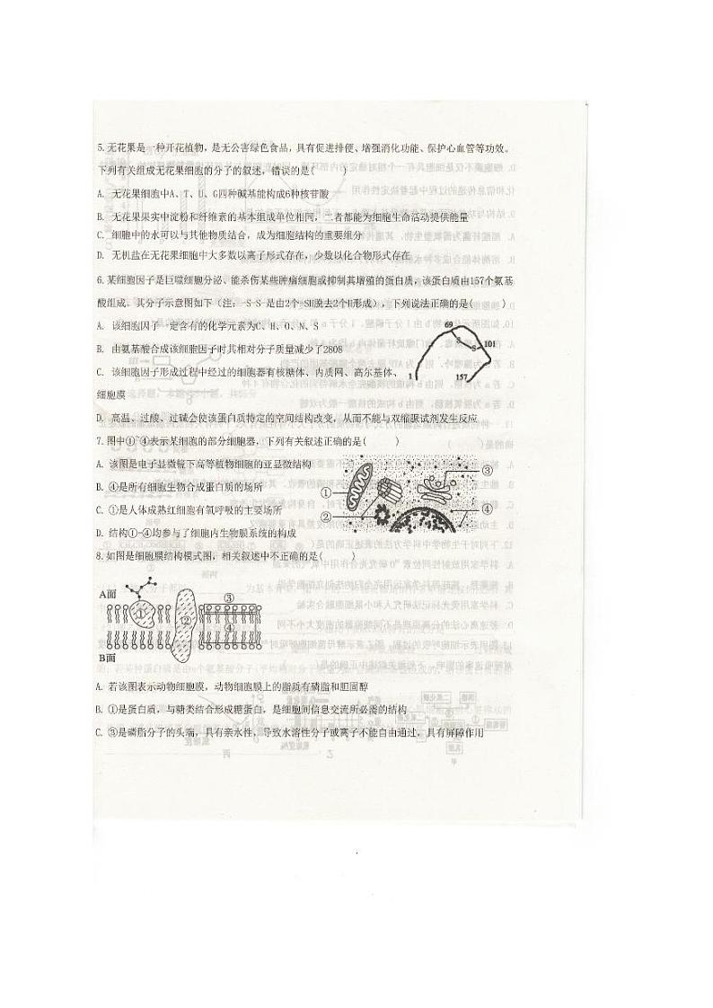 辽宁省抚顺市六校协作体2023-2024学年高一上学期期末生物试题(PDF版附答案)第2页