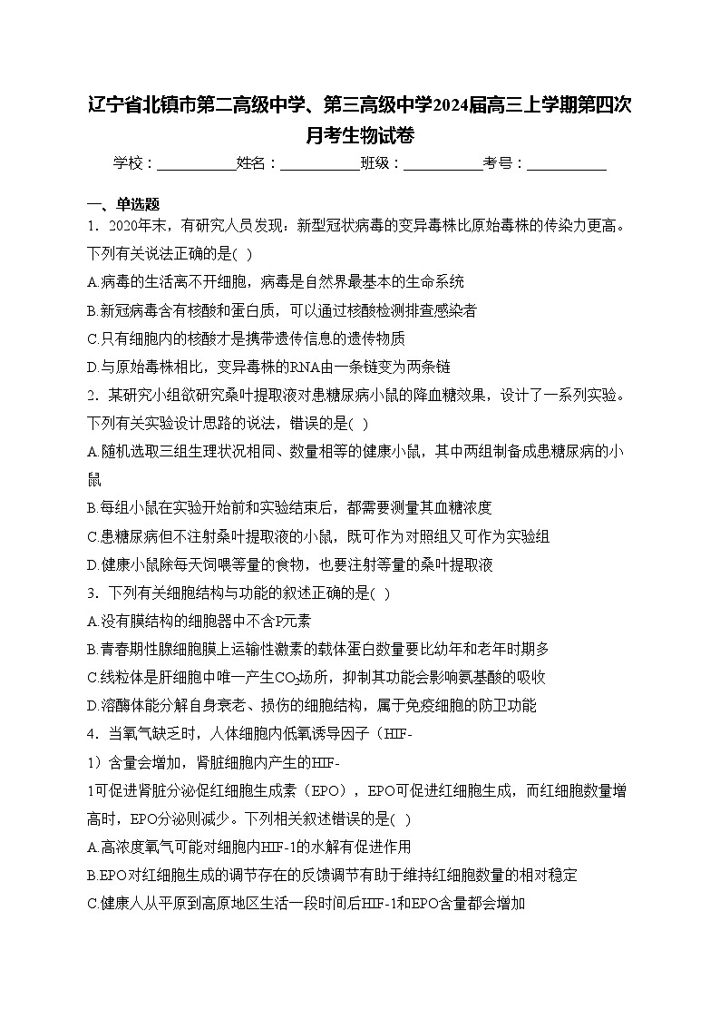 辽宁省北镇市第二高级中学、第三高级中学2024届高三上学期第四次月考生物试卷(含答案)第1页