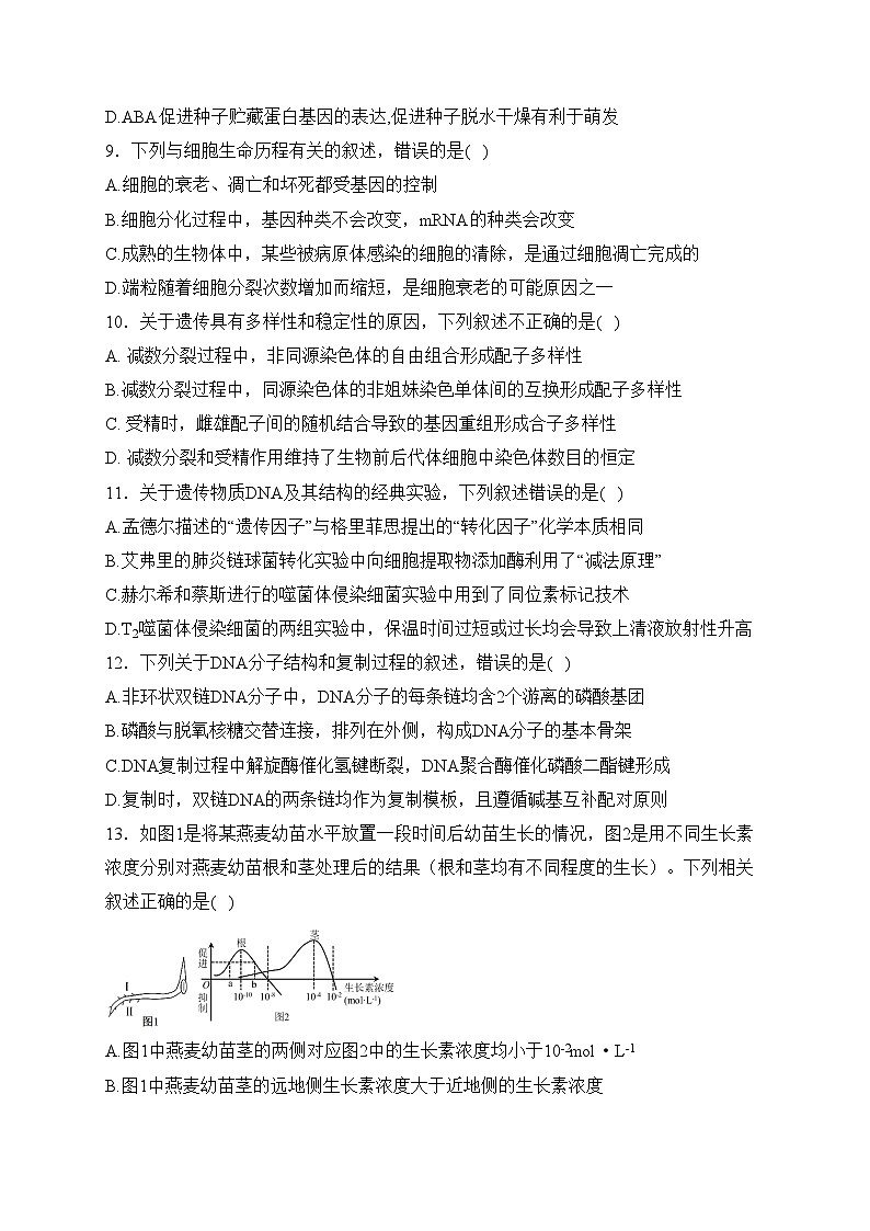 辽宁省北镇市第二高级中学、第三高级中学2024届高三上学期第四次月考生物试卷(含答案)第3页
