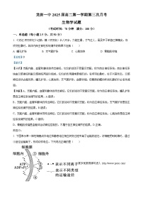 福建省龙岩市一中2023-2024学年高二上学期第三次月考生物试题